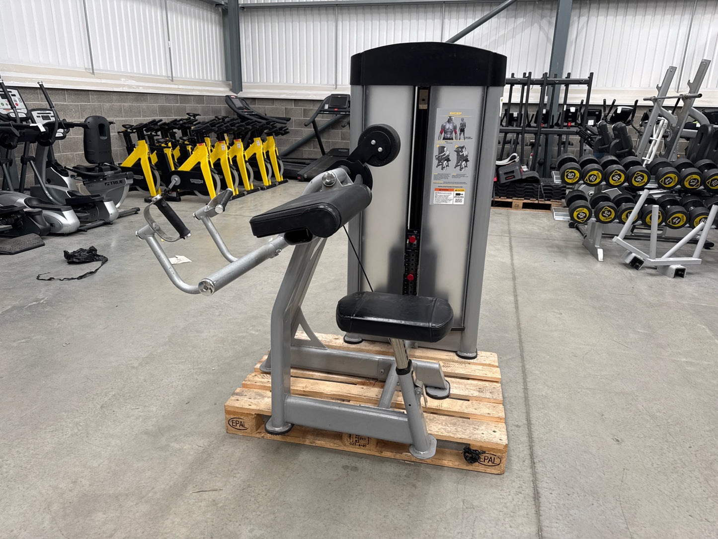 Everlast Bicep Curl Machine