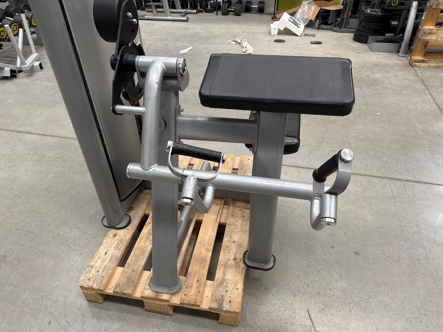 Everlast Bicep Curl Machine