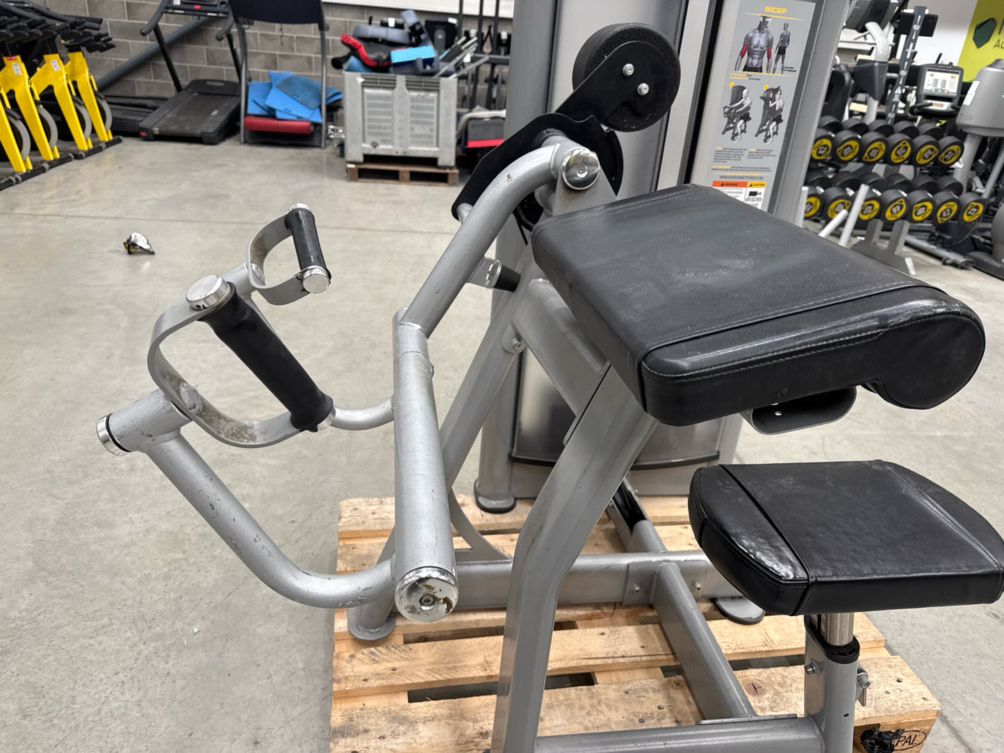 Everlast Bicep Curl Machine