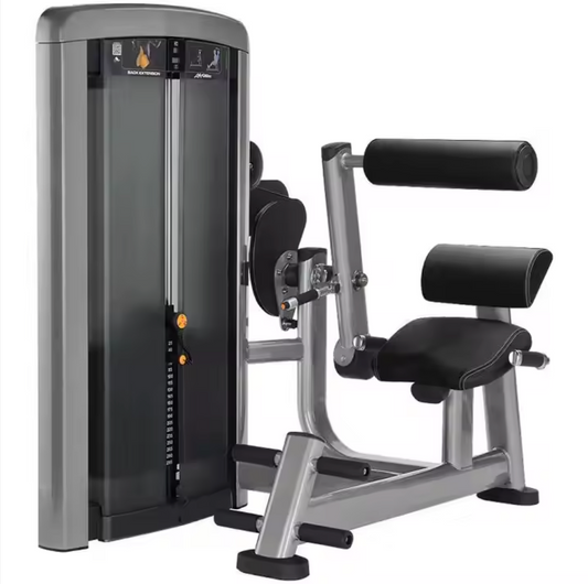 Everlast Back Extensions Machine